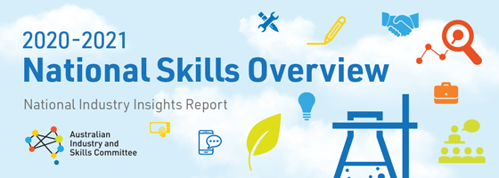 2020-2021 National Industry Insights Report